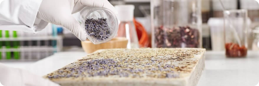 Acceso físico y económico a los alimentos y su estabilidad